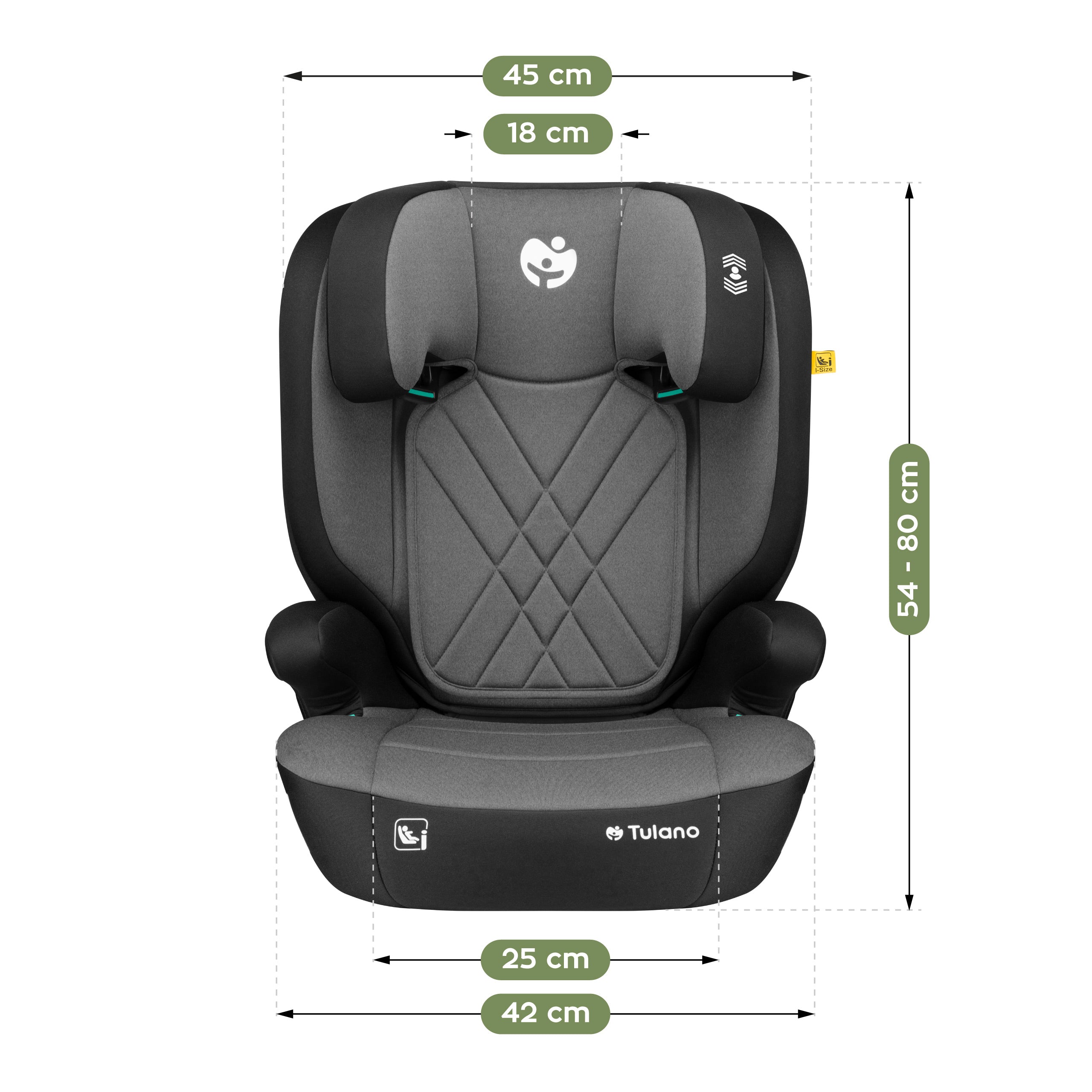 Scaun auto pentru copii 2 în 1, 100–150 cm, Joy 45 Grey I-Size